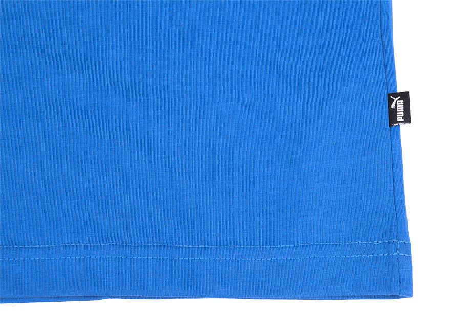 Puma Pánské Tričko Amplified Tee 585778 13