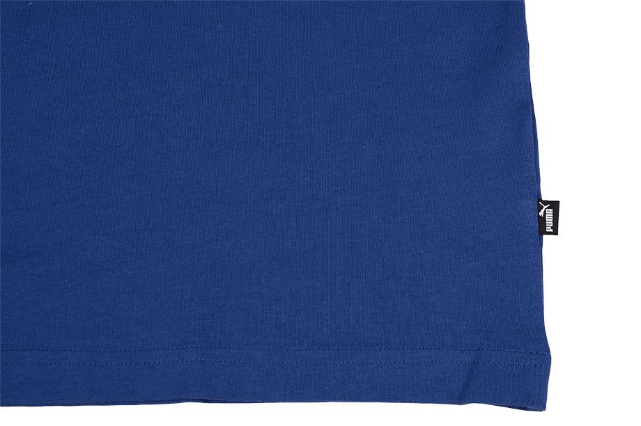 Puma Pánské Tričko Amplified Tee 585778 12