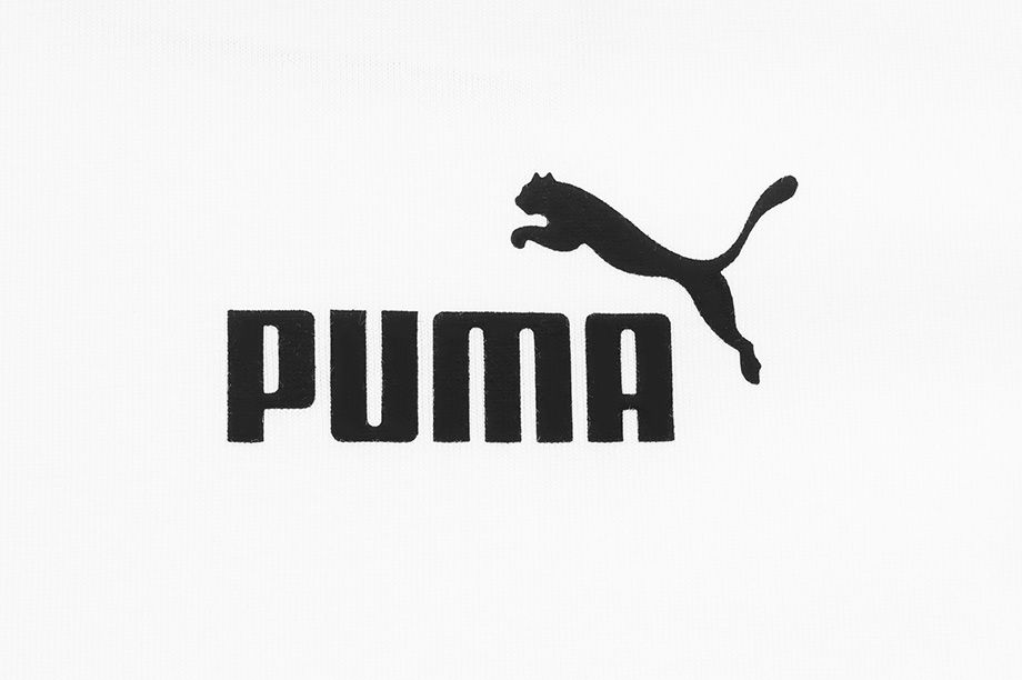 Puma Pánské Tričko Amplified Tee 585778 02