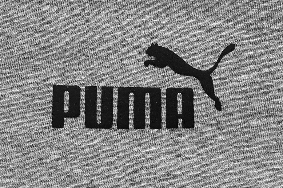Puma Pánské Tričko Amplified Tee 585778 03