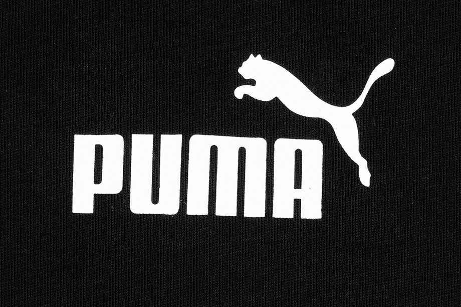 Puma Pánské Tričko Amplified Tee 585778 01
