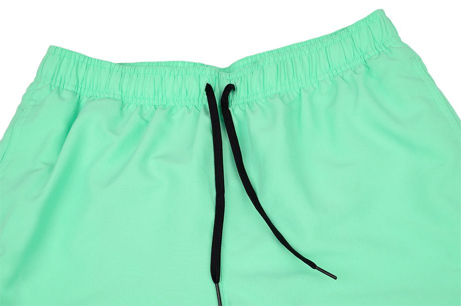 Nike Šortky Koupání Pánské Logo Lap NESSA566 315