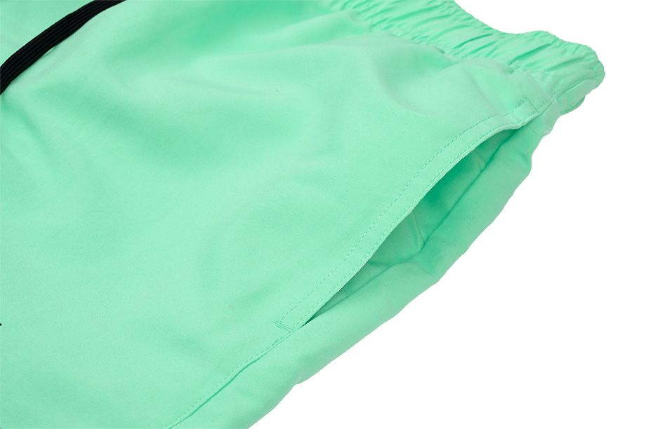 Nike Šortky Koupání Pánské Logo Lap NESSA566 315