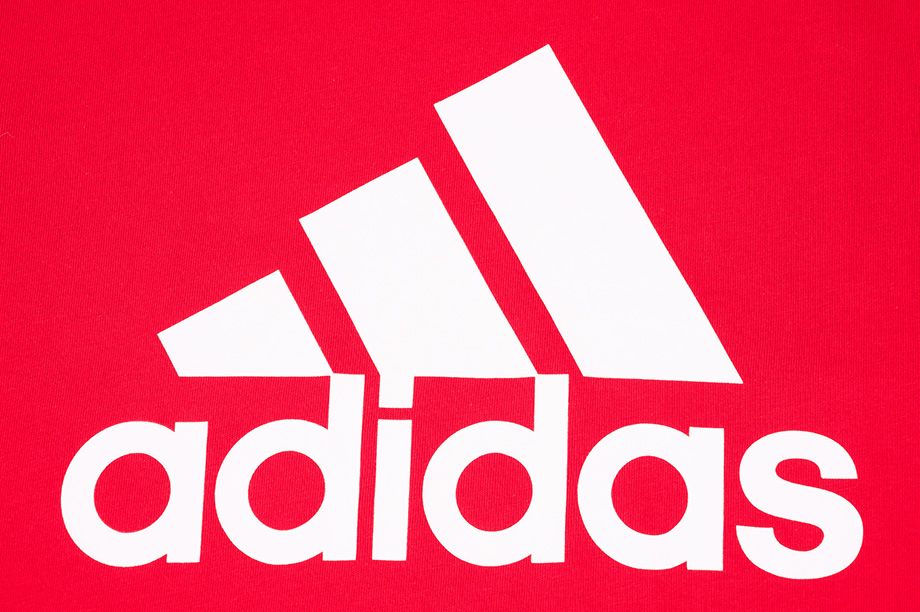 adidas Tričko Pánské Essentials Big Logo GK9124