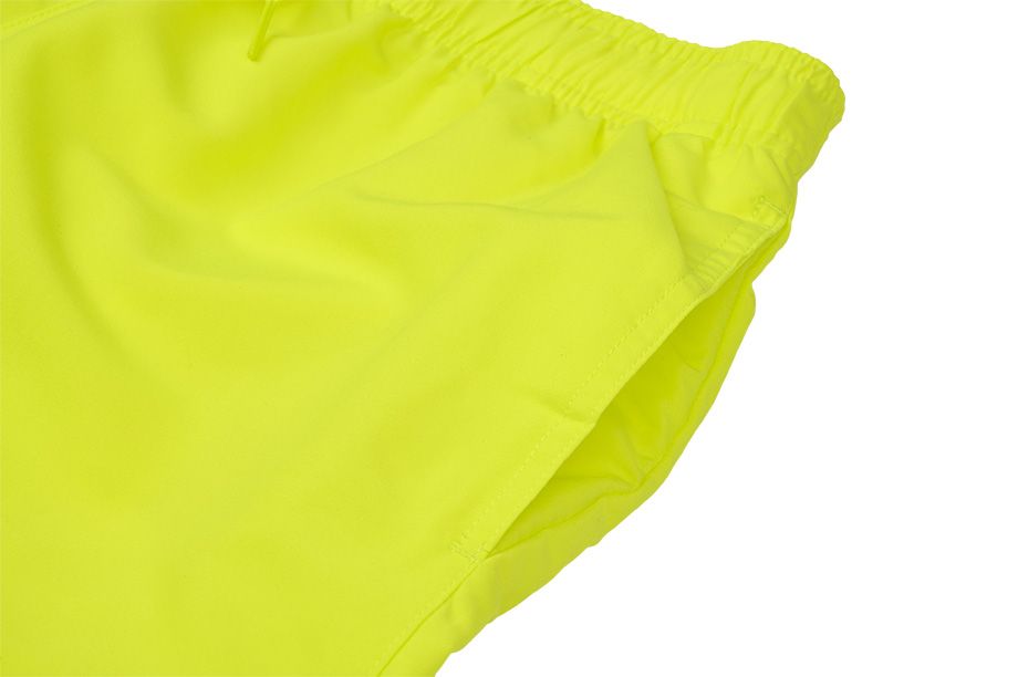 Nike Šortky Koupání Pánské Logo Lap NESSA566 737