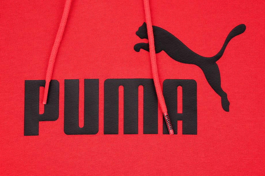 Puma Pánské Mikina Amplified Hoodie TR 585783 11