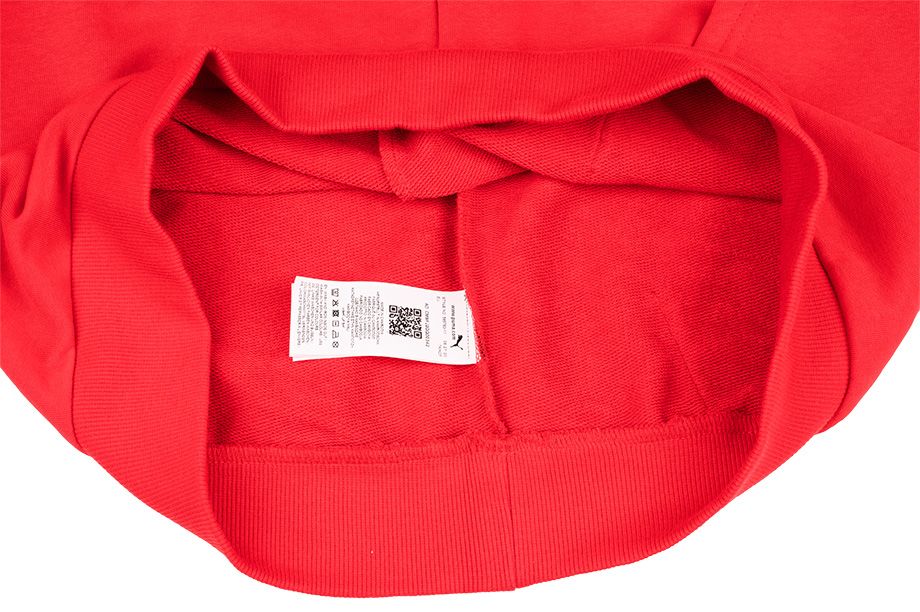 Puma Pánské Mikina Amplified Hoodie TR 585783 11