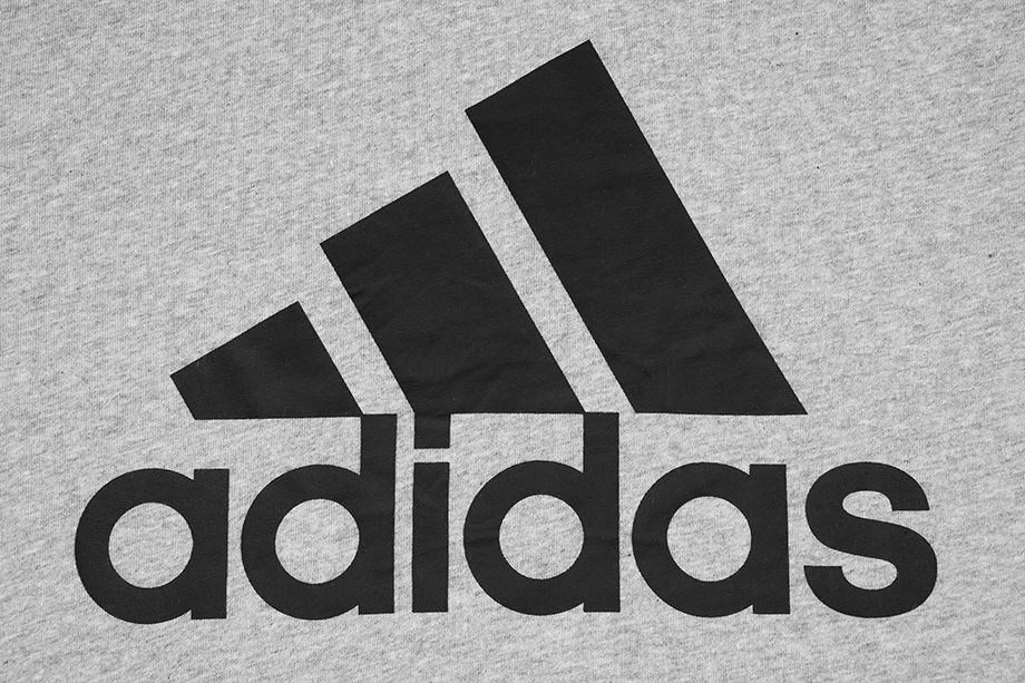 adidas pánské tričko Essentials Big Logo GK9123