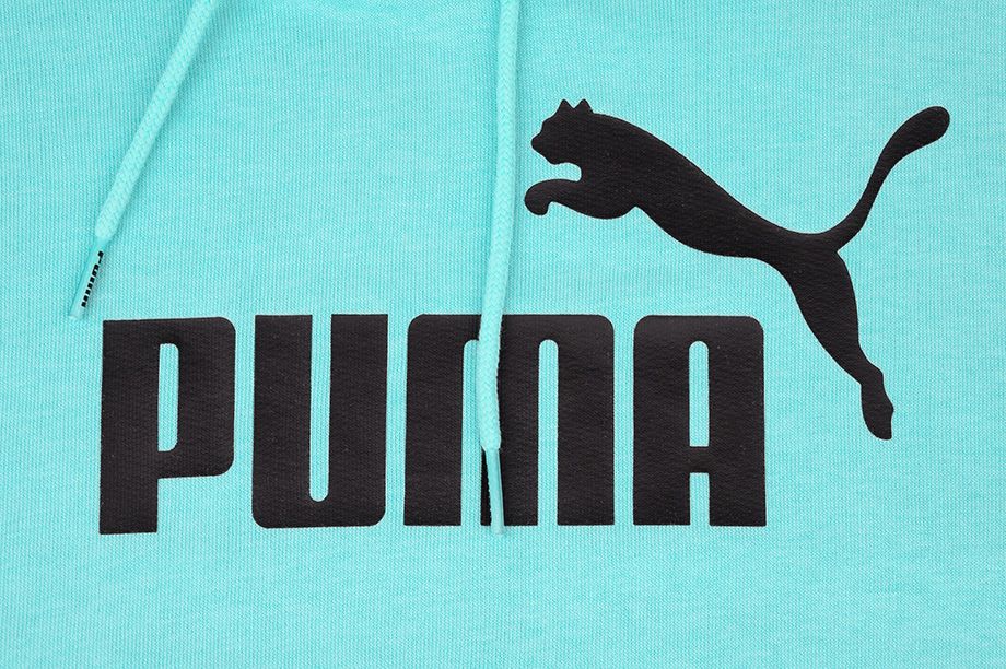 Puma Pánské Mikina Amplified Hoodie TR 585783 49