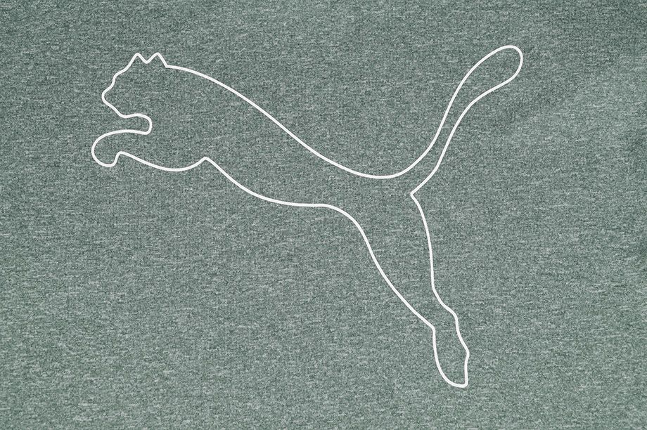 Puma Dámské Tričko RTG Heather Logo Tee 586455 45