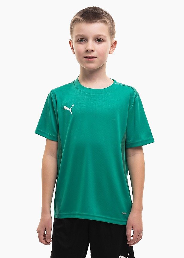 Dětský dres Puma TeamGoal Jersey 658637 05
