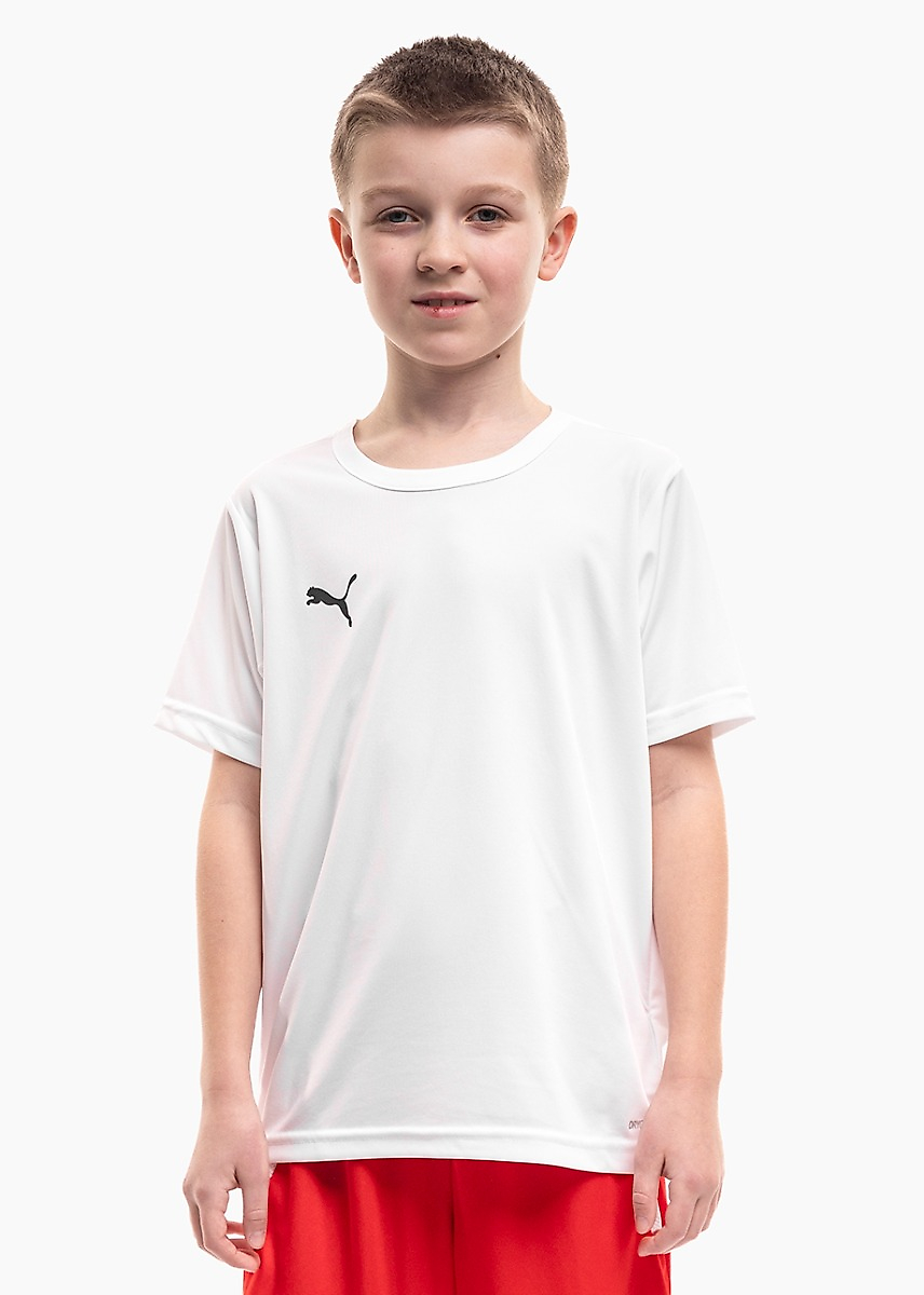 Dětský dres Puma teamRISE Matchday 706284 04