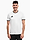 Obrázek Koszulka męska adidas Entrada 26 Jersey JZ2508 varianty produktu