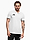 Obrázek Koszulka męska adidas Entrada 26 Polo JZ6661 varianty produktu
