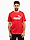 Obrázek PUMA Koszulka męska Ess No.1 Logo Tee 682532 11 varianty produktu