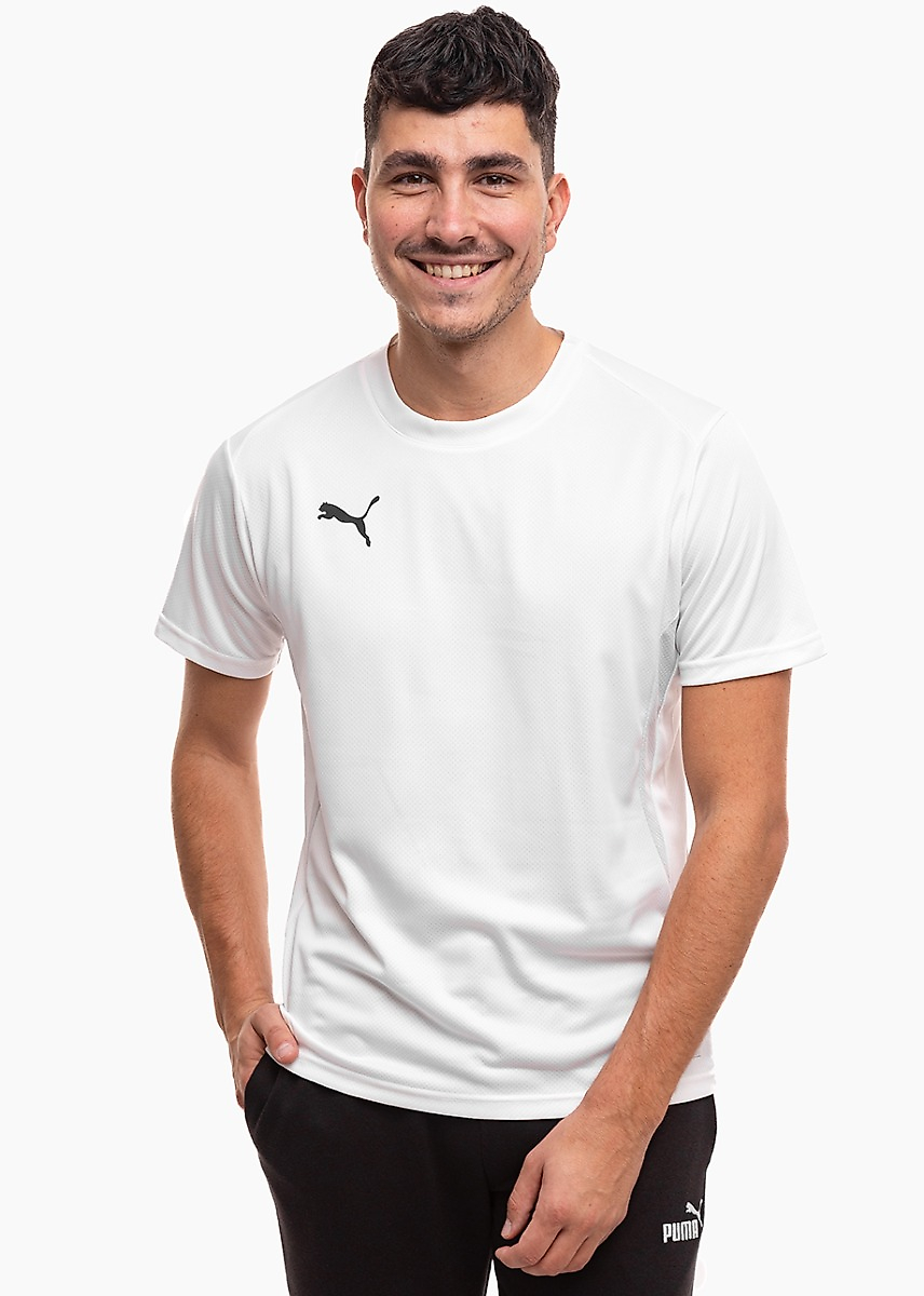 Pánské tričko Puma TeamGoal Jersey 658636 04