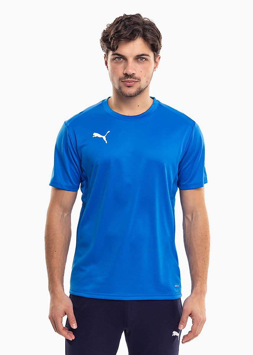 PUMA Pánské tričko TeamGoal Jersey 658636 02