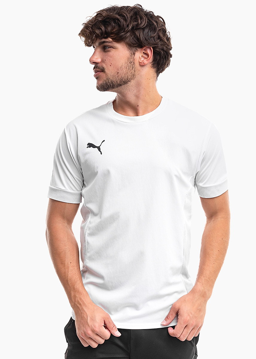 PUMA Pánské tričko teamGoal Matchday Jersey 705747 04