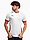 Obrázek PUMA Koszulka męska teamGoal Matchday Jersey 705747 11 varianty produktu
