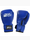 Obrázek Profight Rękawice bokserskie PVC 3 varianty produktu