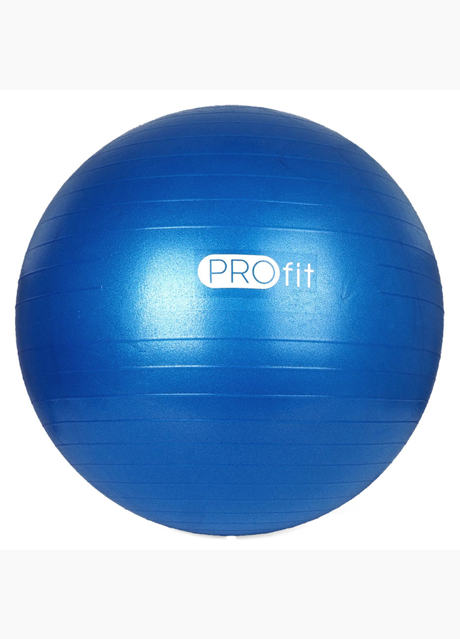 Profit Gymnastický míč s pumpou 55 cm DK 2102 2 Profit Gymnastický míč s pumpou 55 cm DK 2102 2