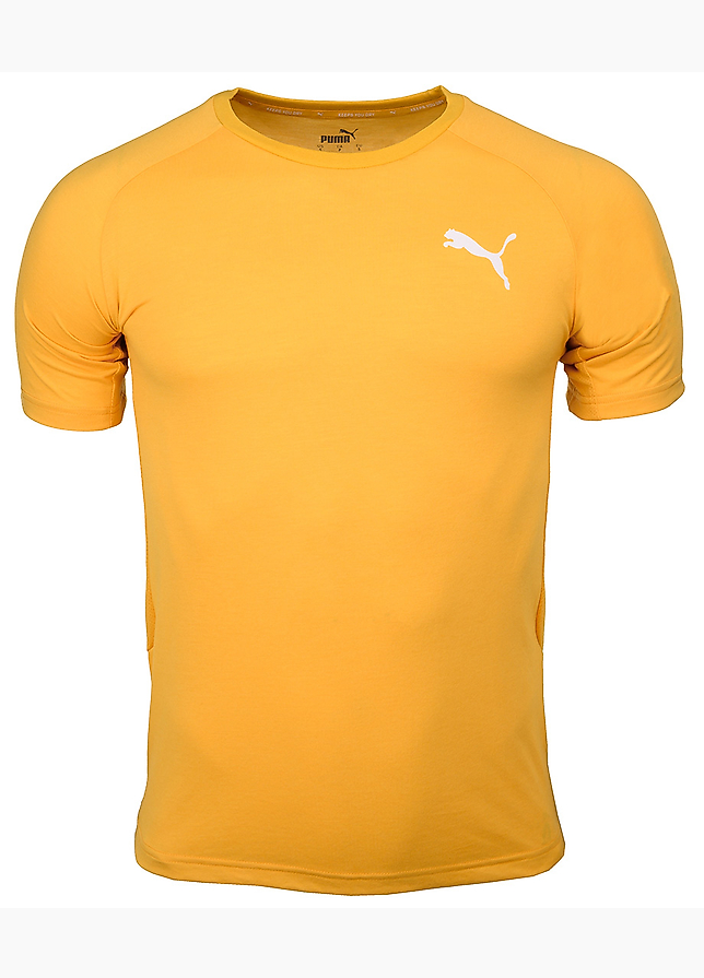 Puma Pánské tričko Evostripe Lite Tee 581534 25 Puma Pánské tričko Evostripe Lite Tee 581534 25